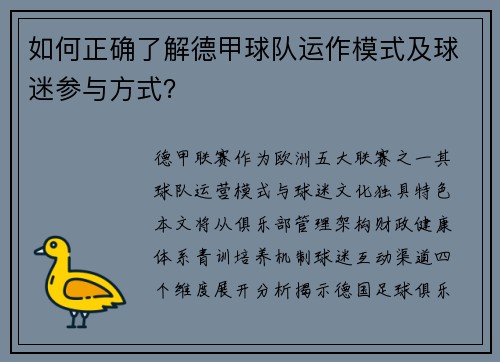 如何正确了解德甲球队运作模式及球迷参与方式？